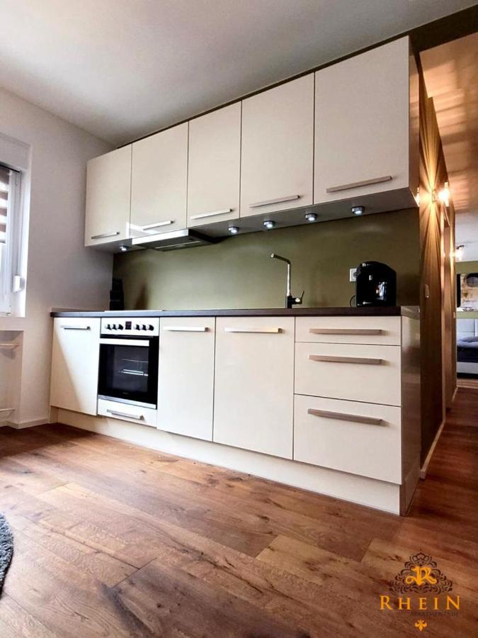 Top Modernes Rhein Apartment Vallendar Mit Balkon 외부 사진